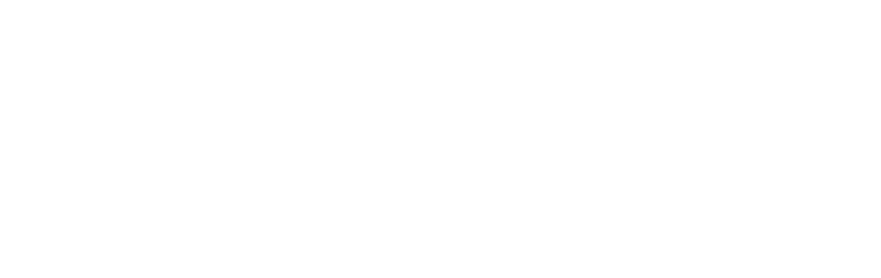 MARQUEE, Tesla Light Show Studio
